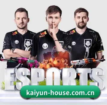 国际化进程 - kaiyun