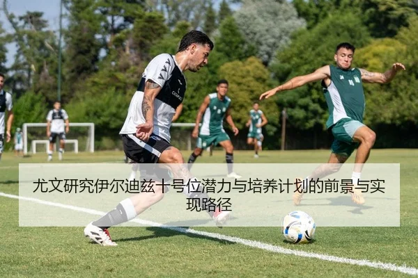 尤文研究伊尔迪兹十号位潜力与培养计划的前景与实现路径（kaiyun）